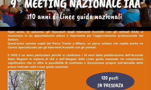 9° MEETING NAZIONALE IAA – 4 OTTOBRE –   9.00/18.00